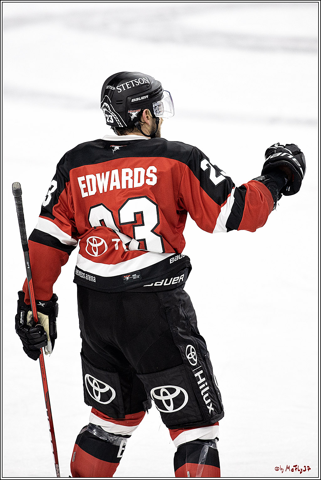 PENNY DEL;  Koelner Haie - Bietigheim Steelers; Koeln, 19.11.2021